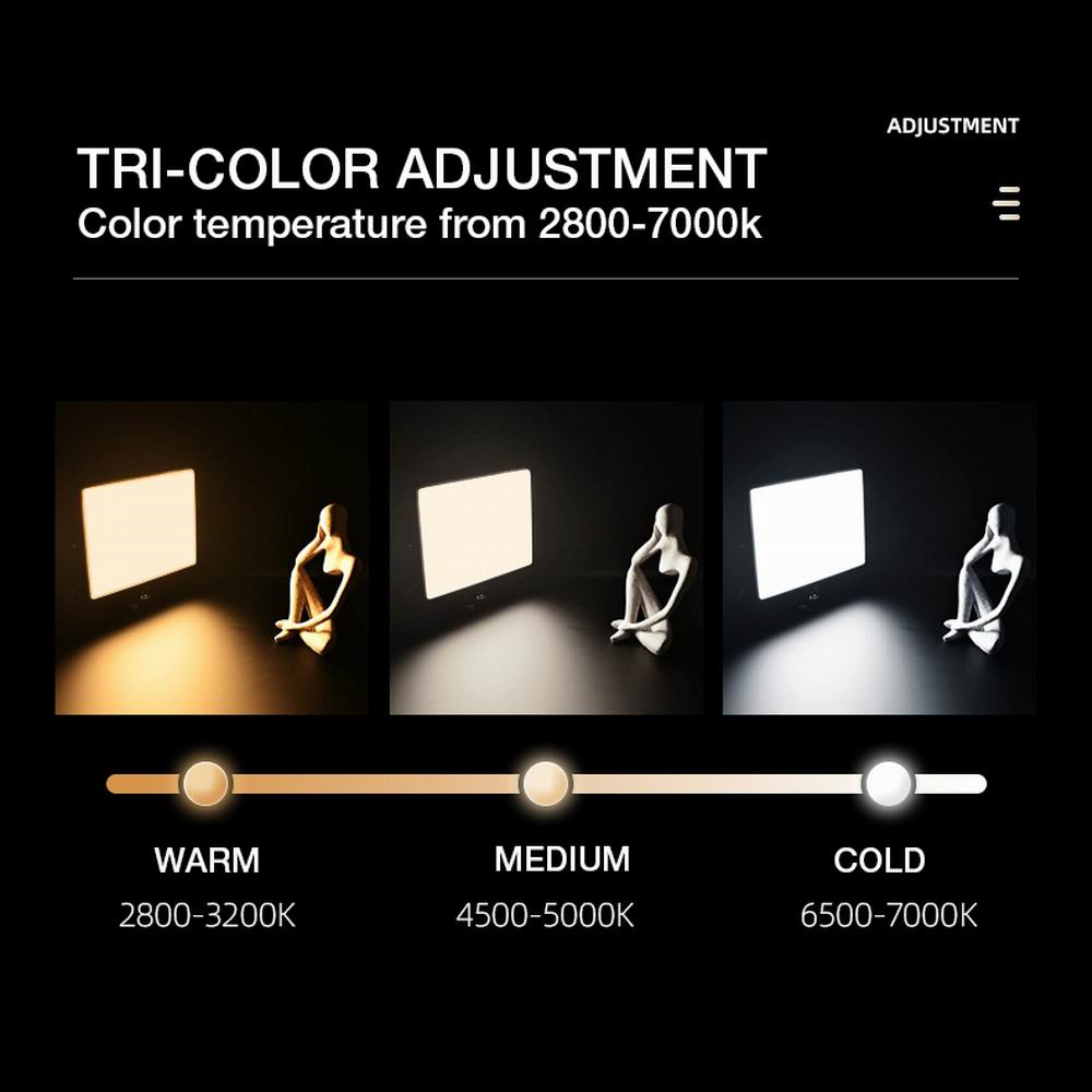 Профессиональная двухцветная с – обзор и цена Photography Studio Lighting Set Up